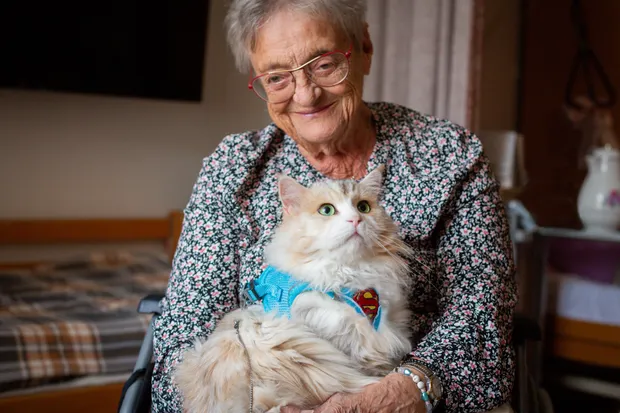 Darujme terapii na 4 nožkách