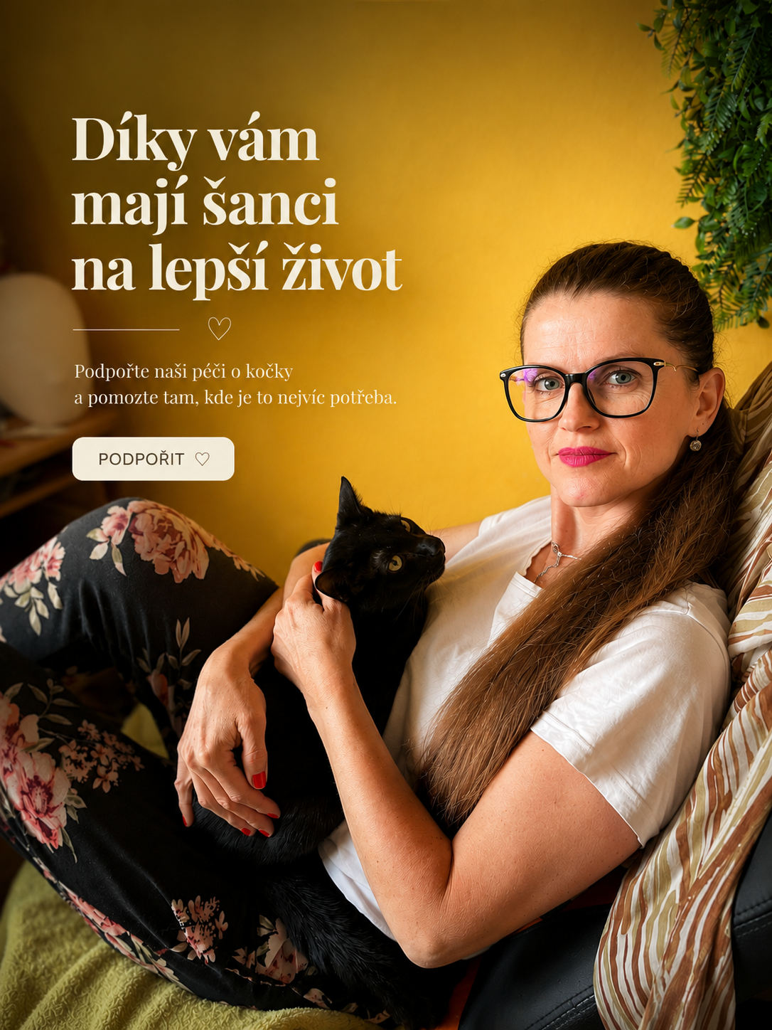 Pomoc kočkám bez domova.
