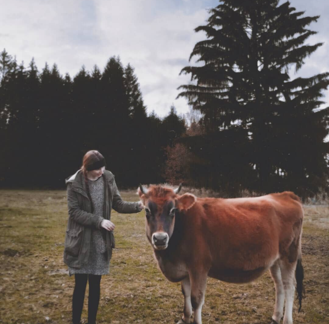 Narozeninová sbírka: Domov pro zvířata