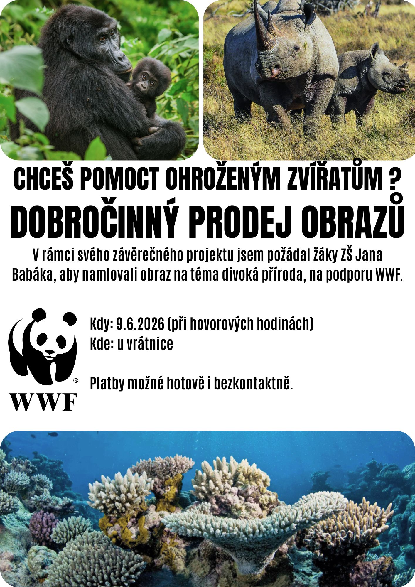 Prodej obrazů na podporu ohrožených zvířat