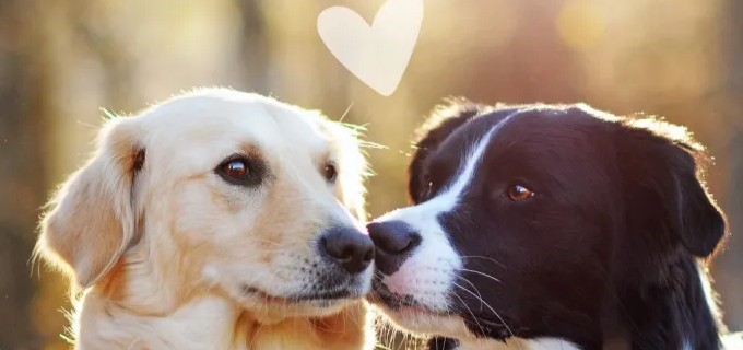 Společně to zvládneme