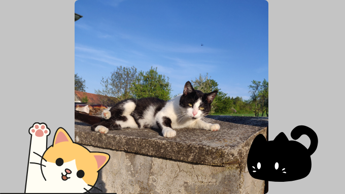 Pomozte prosím naplnit bříška toulavých koček