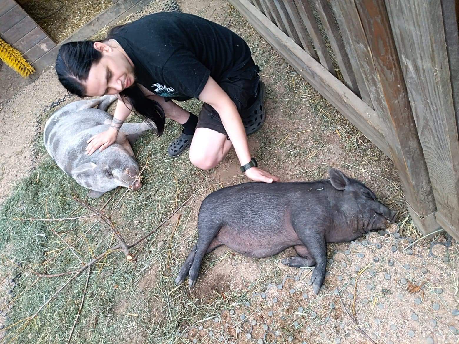 Narozeninová party pro zvířátka