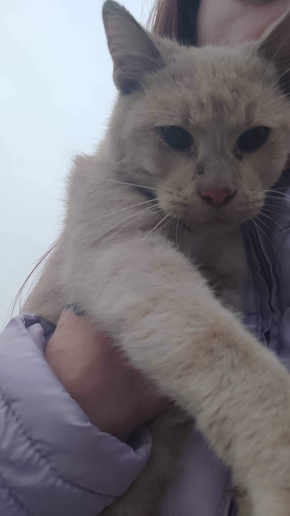 Pomoc s přemnožením