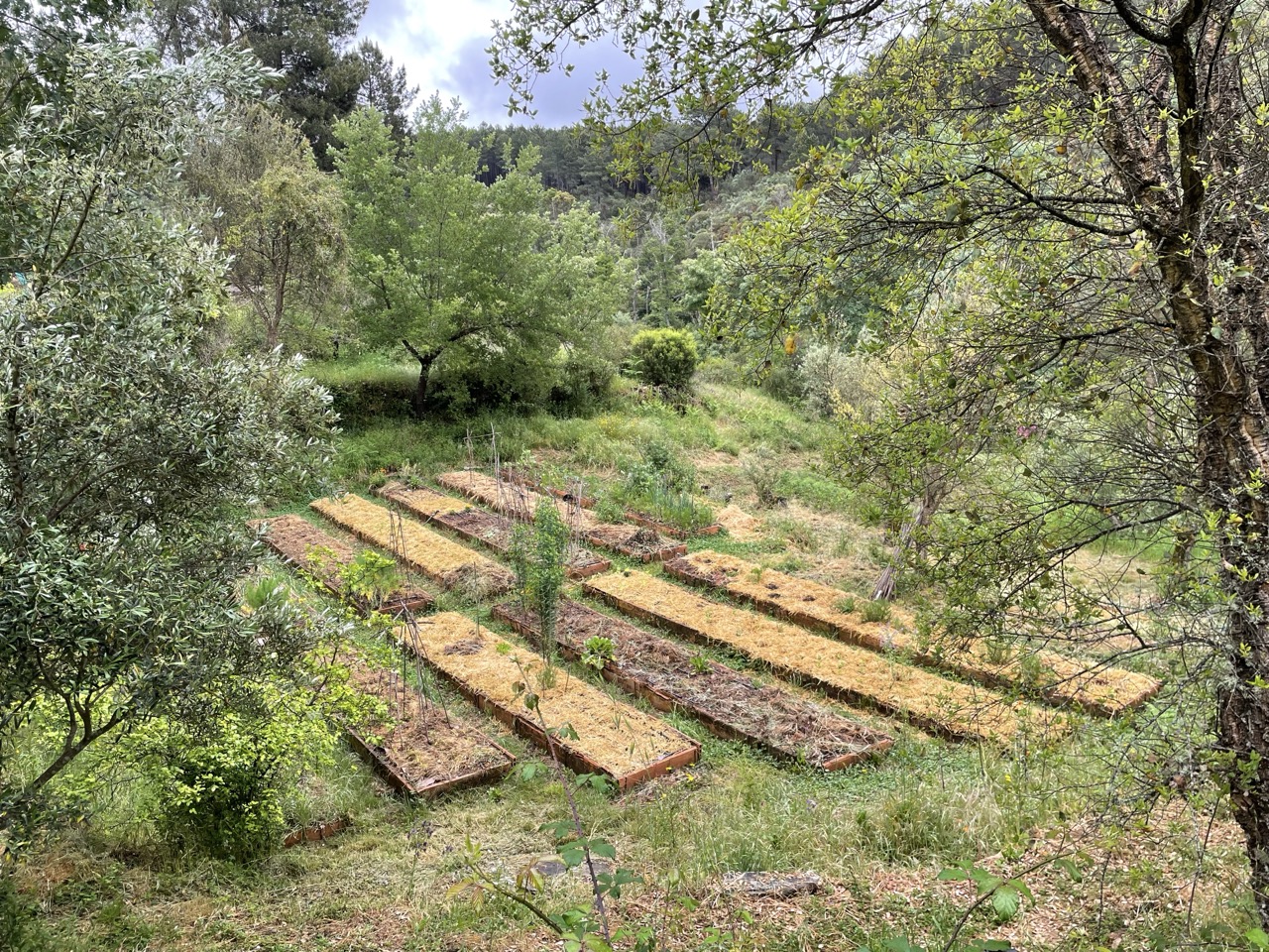 Proper school for ecological farmers