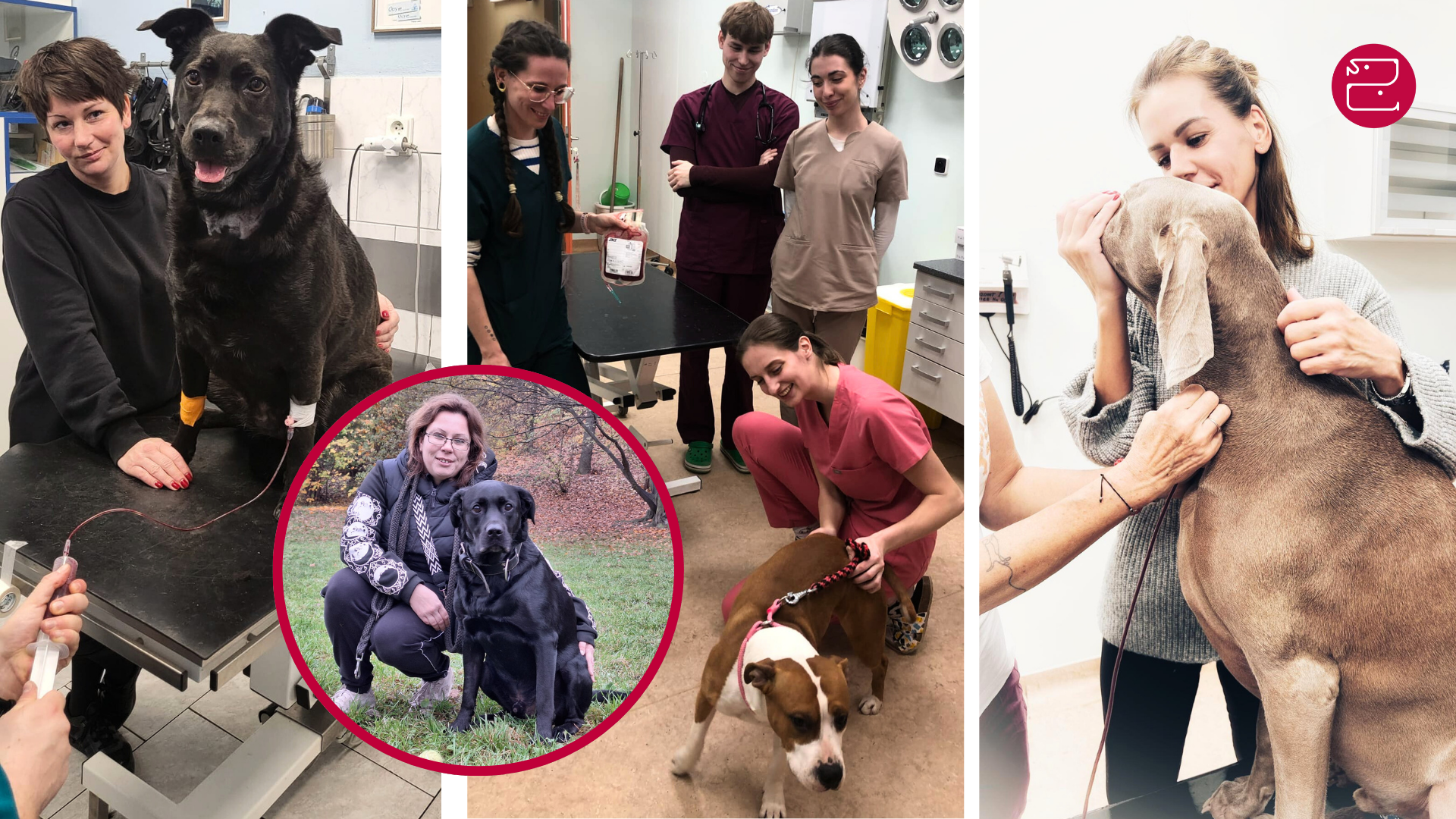 MOJE ČERVENÁ TLAPKA