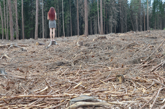 Naše lesy potřebují vaši pomoc