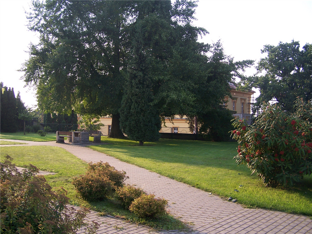 Když nedoběhnu, vy mě dokutálíte!