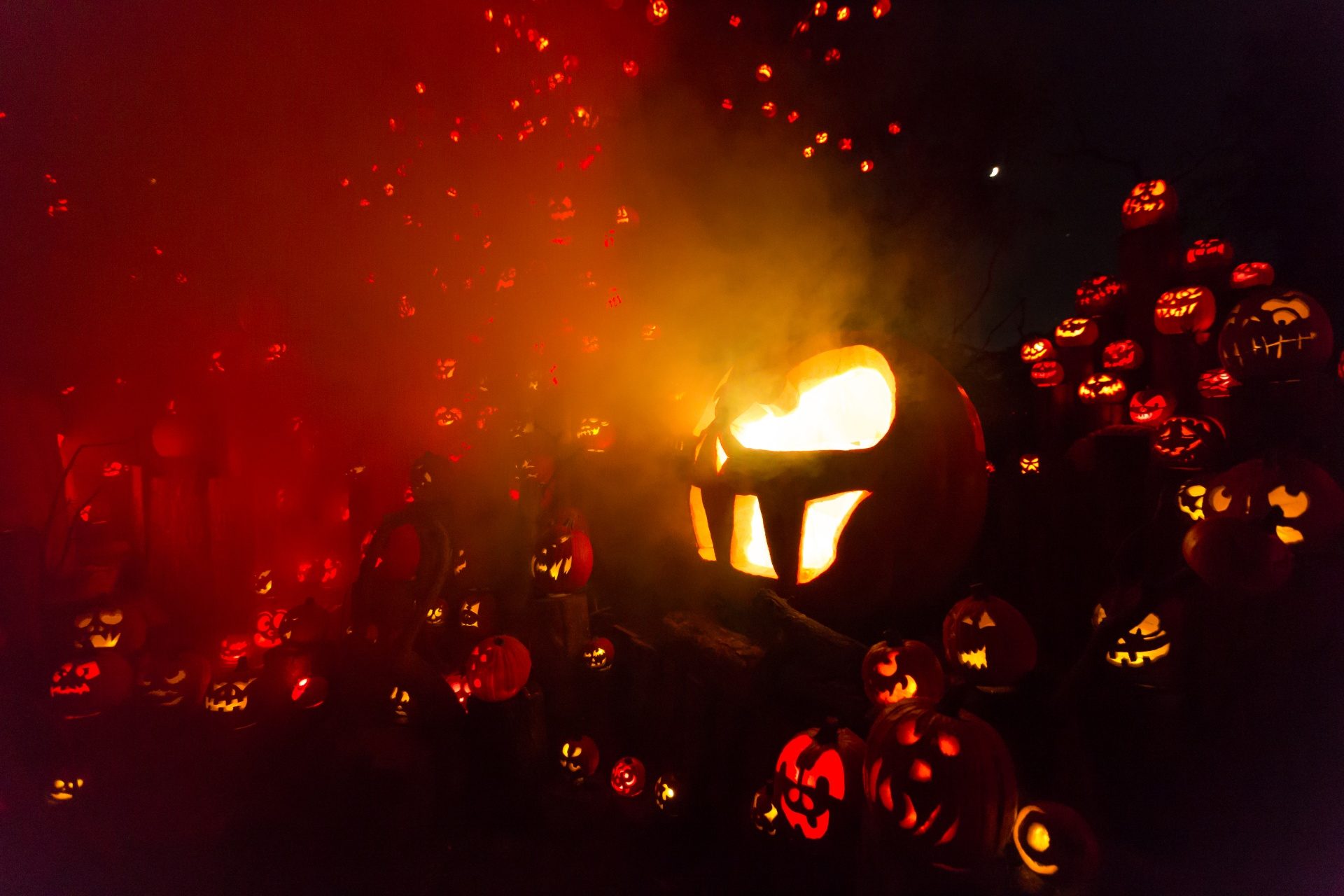 Header img