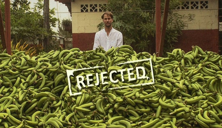 These bananas will go wasted because they are rejected by supermarkets due to their non-standard shapes or sizes. (Photo: Feedback/Tristam Stuart)