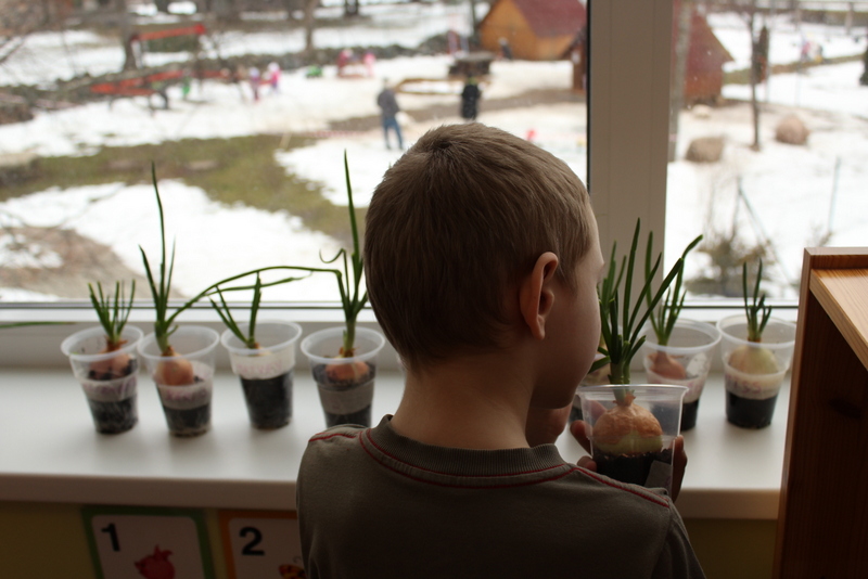 children take part in growing their own food