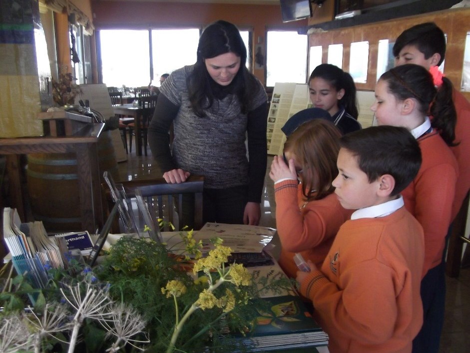 Food Code at local restaurant1