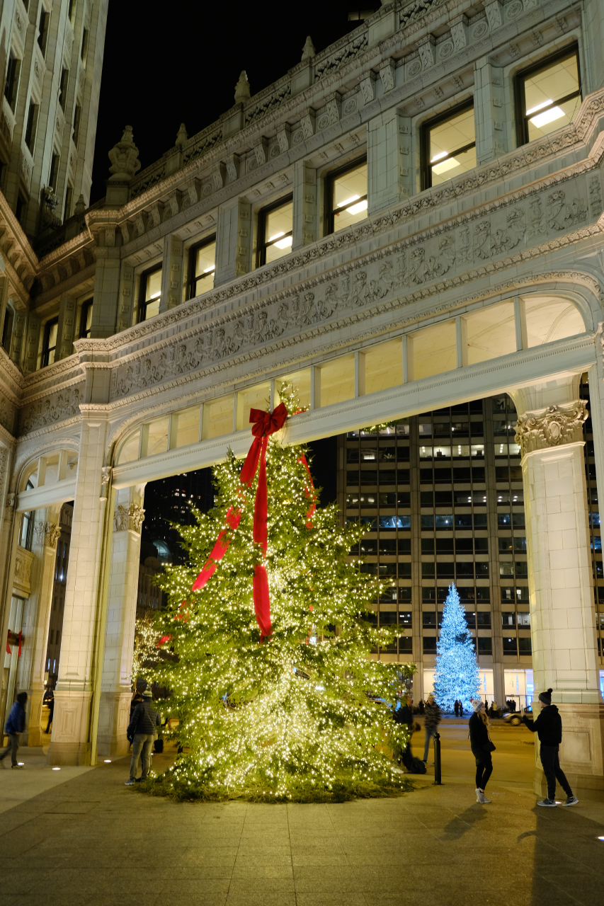 Chicago in winter SkyscraperCity Forum