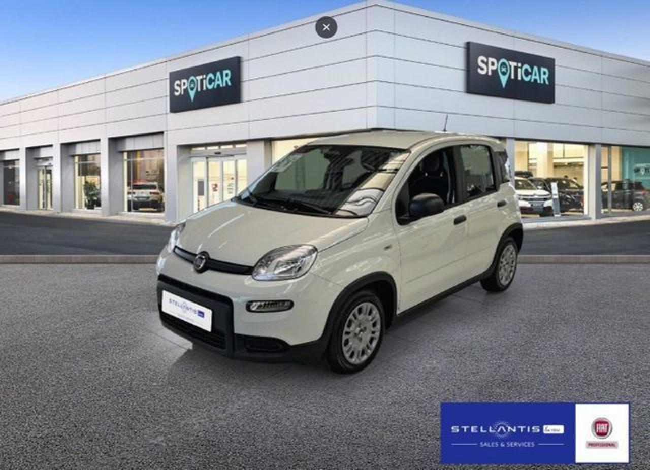 FIAT FIAT PANDA Gebrauchtwagen weiß Benzin