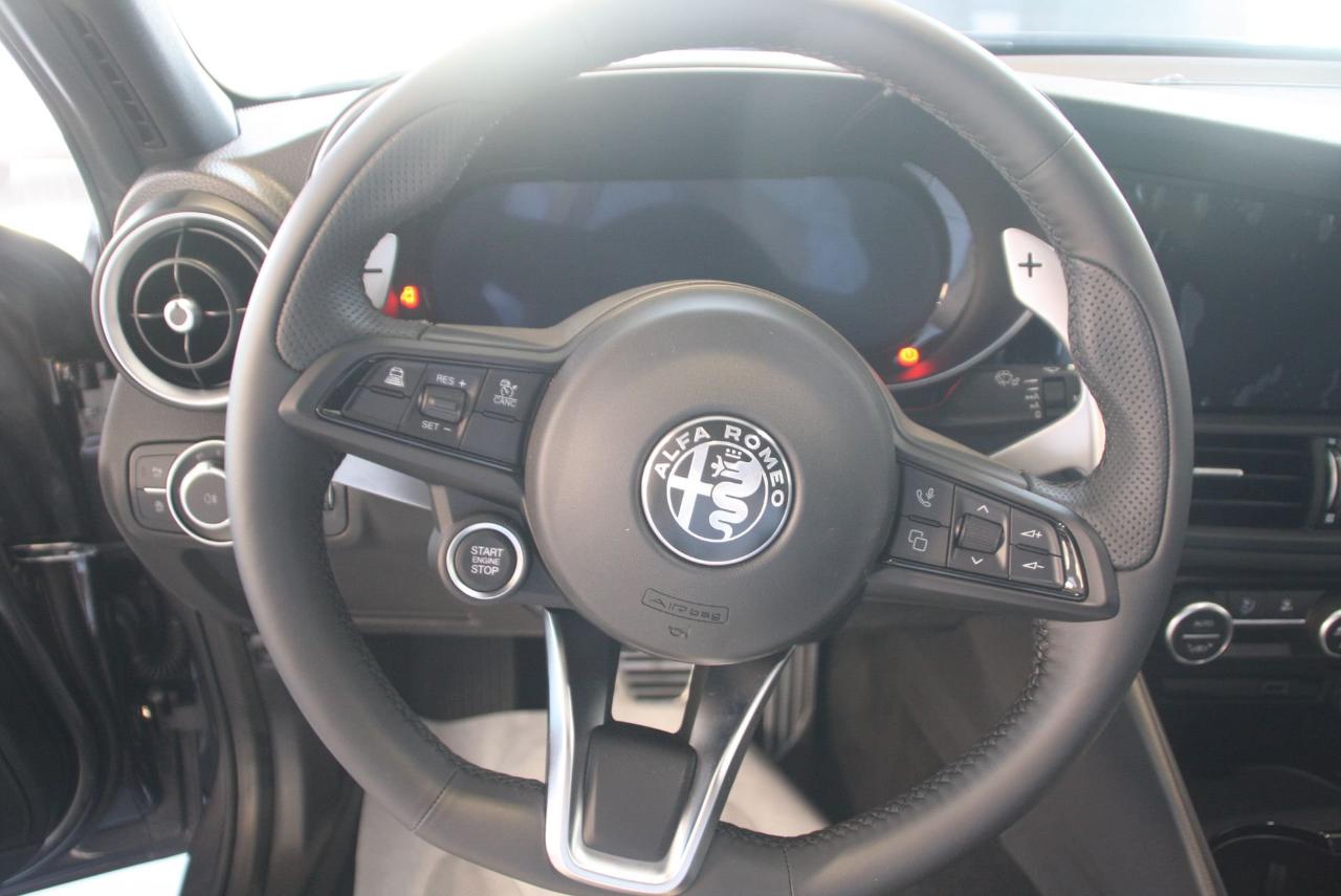 Alfa Romeo Alfa Romeo Giulia usata 19