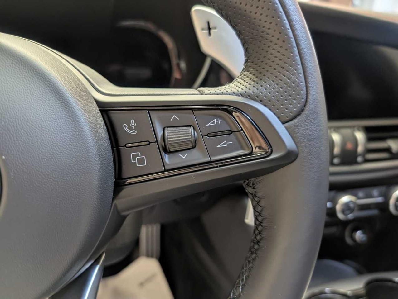 Alfa Romeo Alfa Romeo Giulia usata, con assistente di corsia