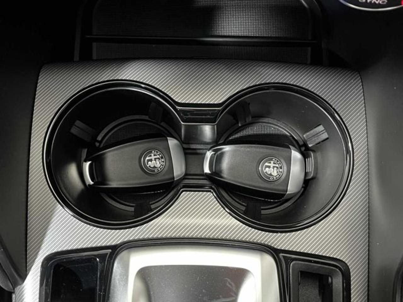 Alfa Romeo Alfa Romeo Giulia usata 10