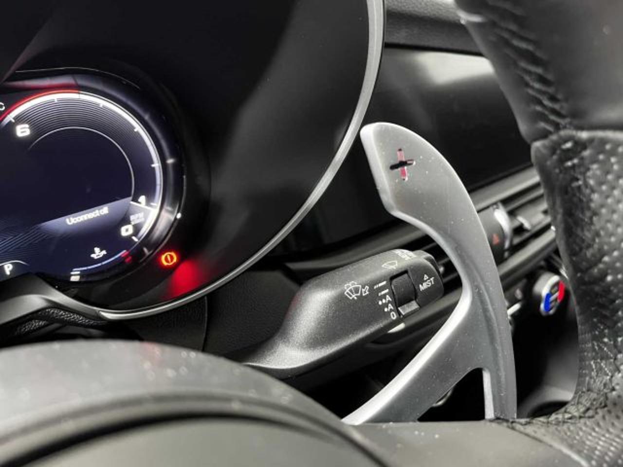 Alfa Romeo Alfa Romeo Giulia usata 19