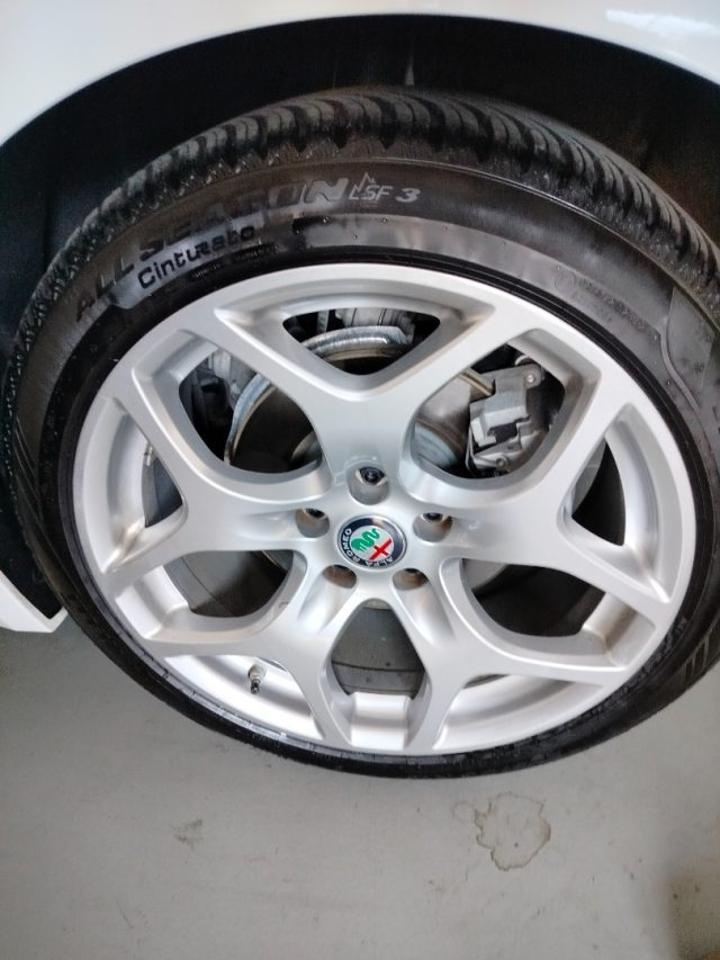 Alfa Romeo Alfa Romeo Giulia usata, con fendinebbia