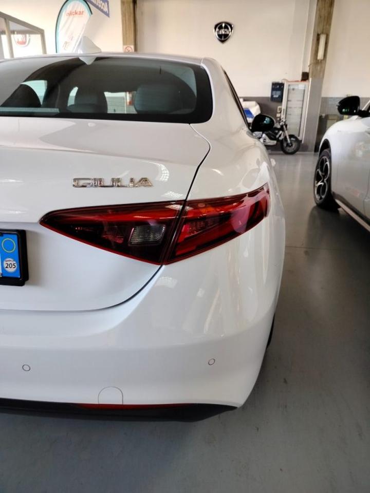 Alfa Romeo Alfa Romeo Giulia usata, con servo sterzo