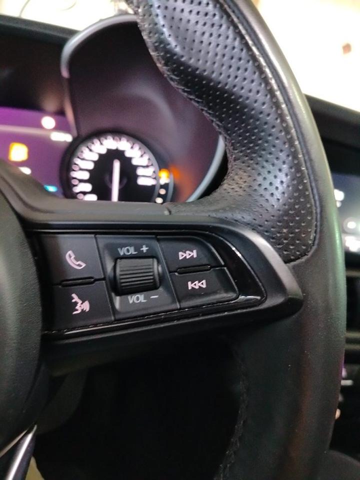 Alfa Romeo Alfa Romeo Giulia usata 18