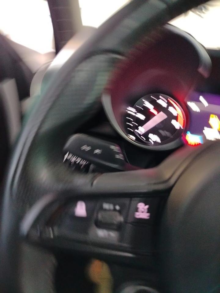 Alfa Romeo Alfa Romeo Giulia usata 19