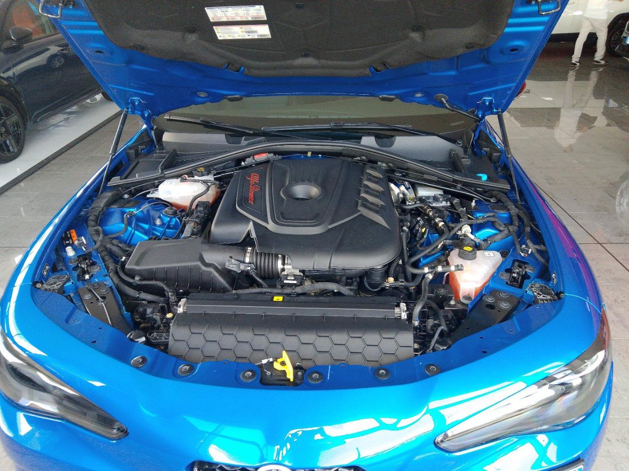 Alfa Romeo Alfa Romeo Giulia usata 17