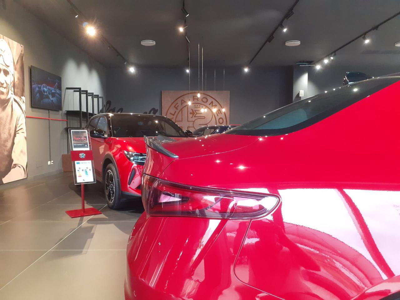 Alfa Romeo Alfa Romeo Giulia usata 15