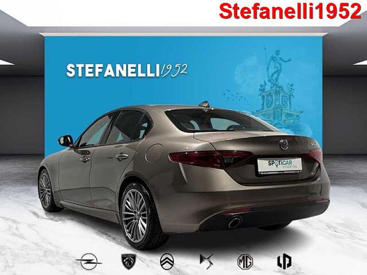 Alfa Romeo Alfa Romeo Giulia usata 15