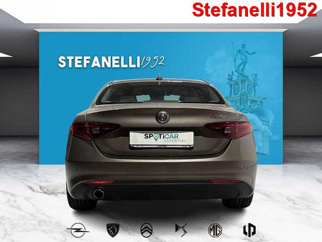 Alfa Romeo Alfa Romeo Giulia usata 16