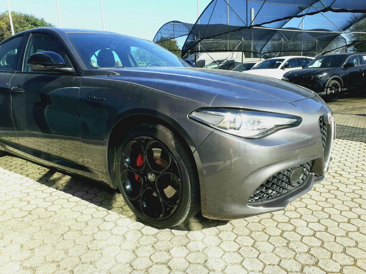 Alfa Romeo Alfa Romeo Giulia usata 16
