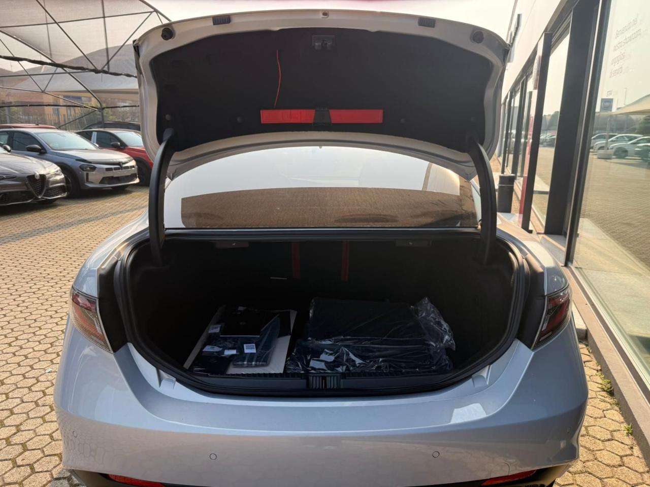 Alfa Romeo Alfa Romeo Giulia usata, con airbag