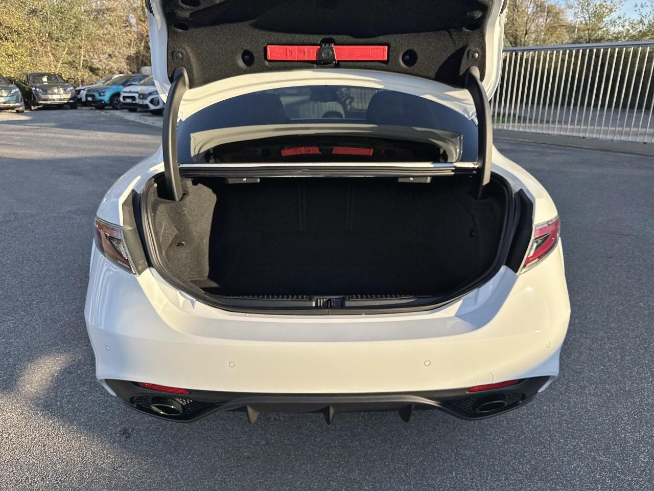 Alfa Romeo Alfa Romeo Giulia usata 17