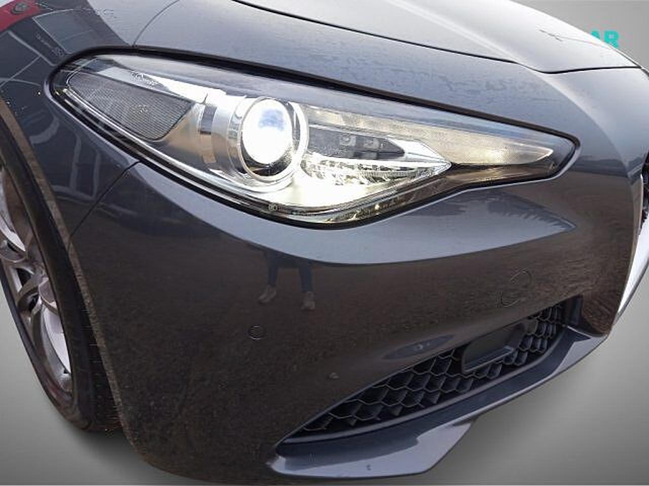 Alfa Romeo Alfa Romeo Giulia usata 19