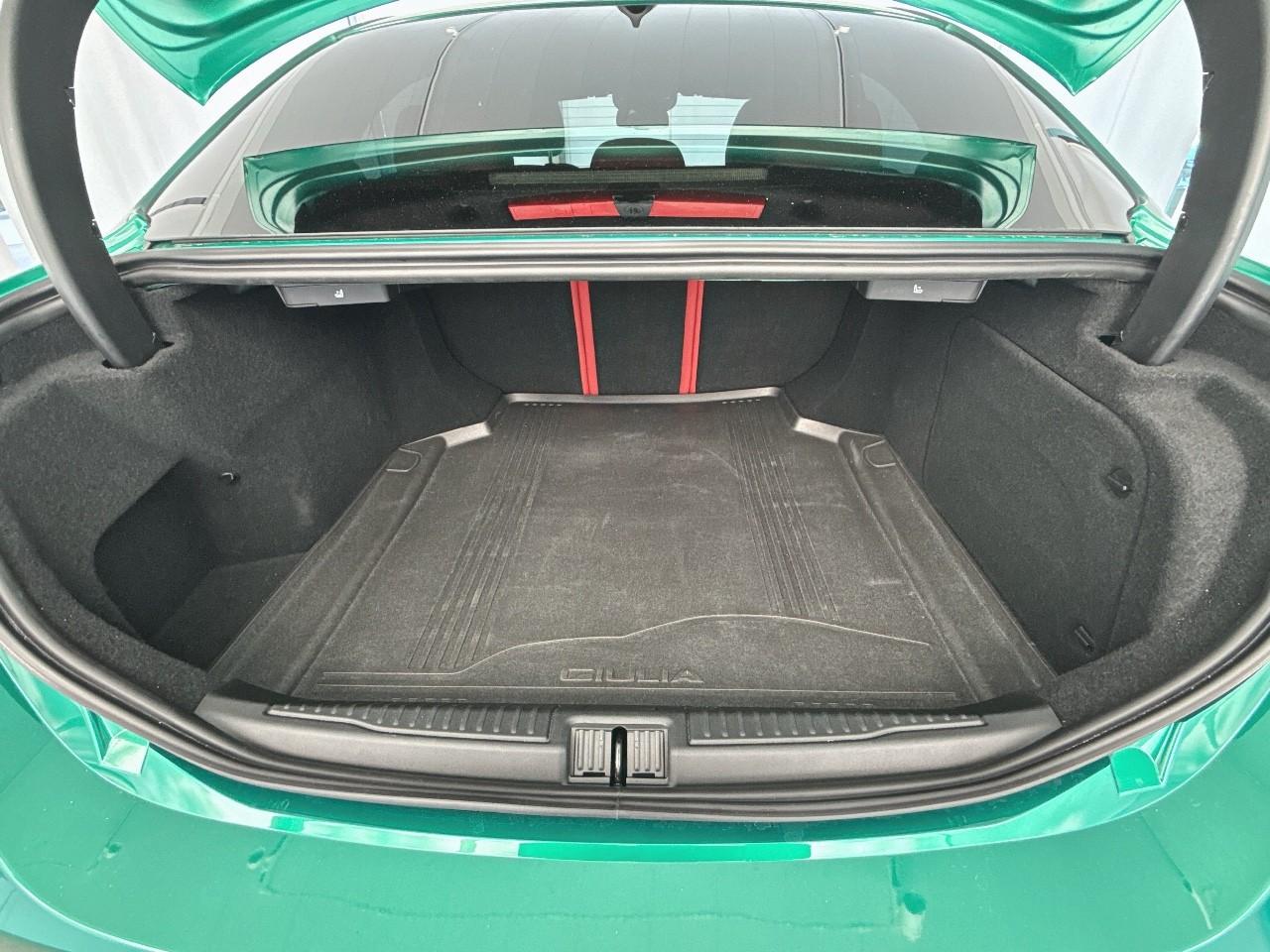 Alfa Romeo Alfa Romeo Giulia usata 17