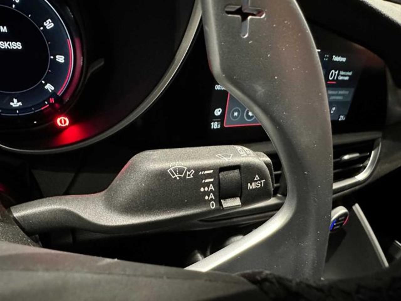 Alfa Romeo Alfa Romeo Giulia usata 19