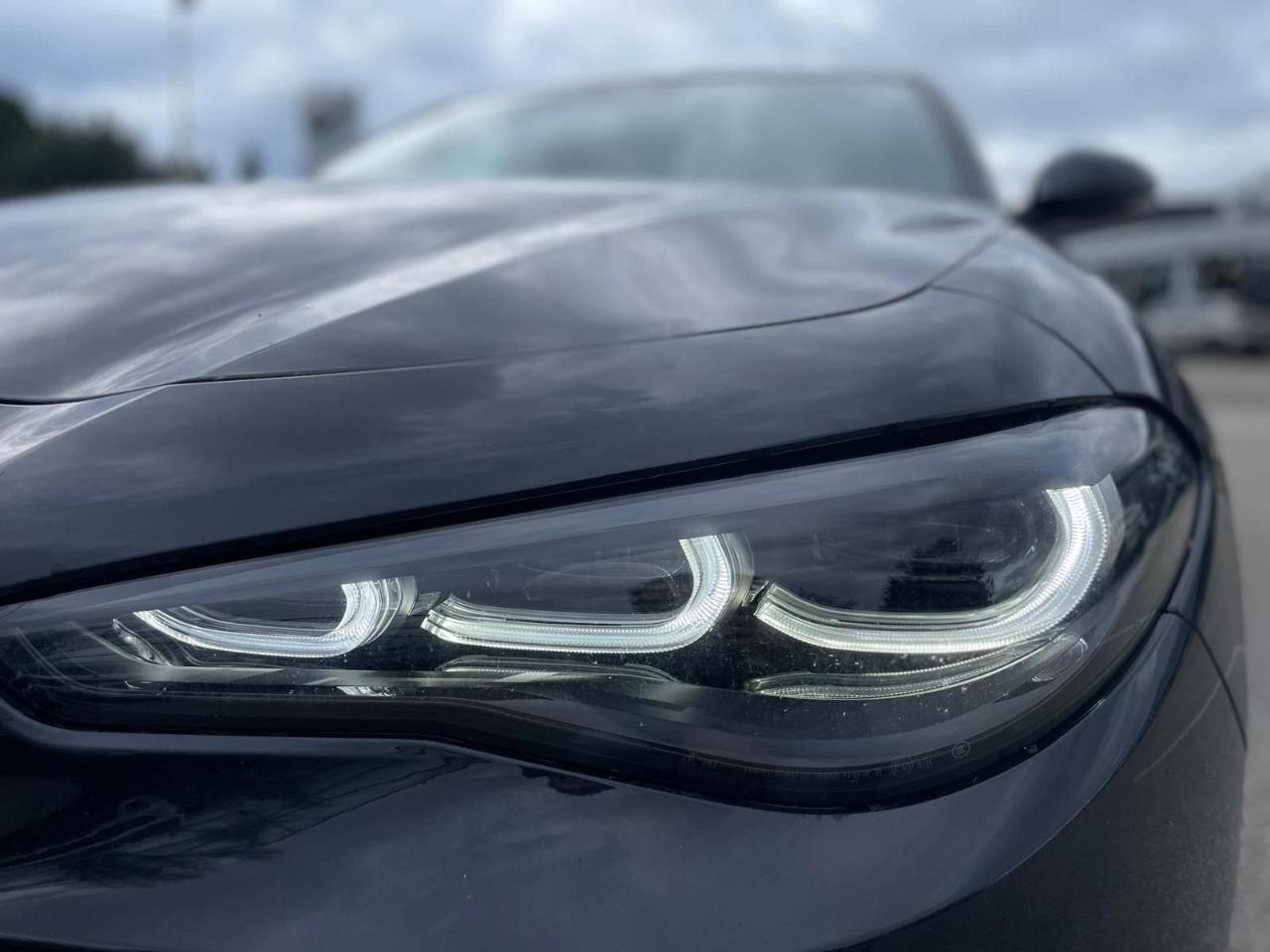 Alfa Romeo Alfa Romeo Giulia usata 12