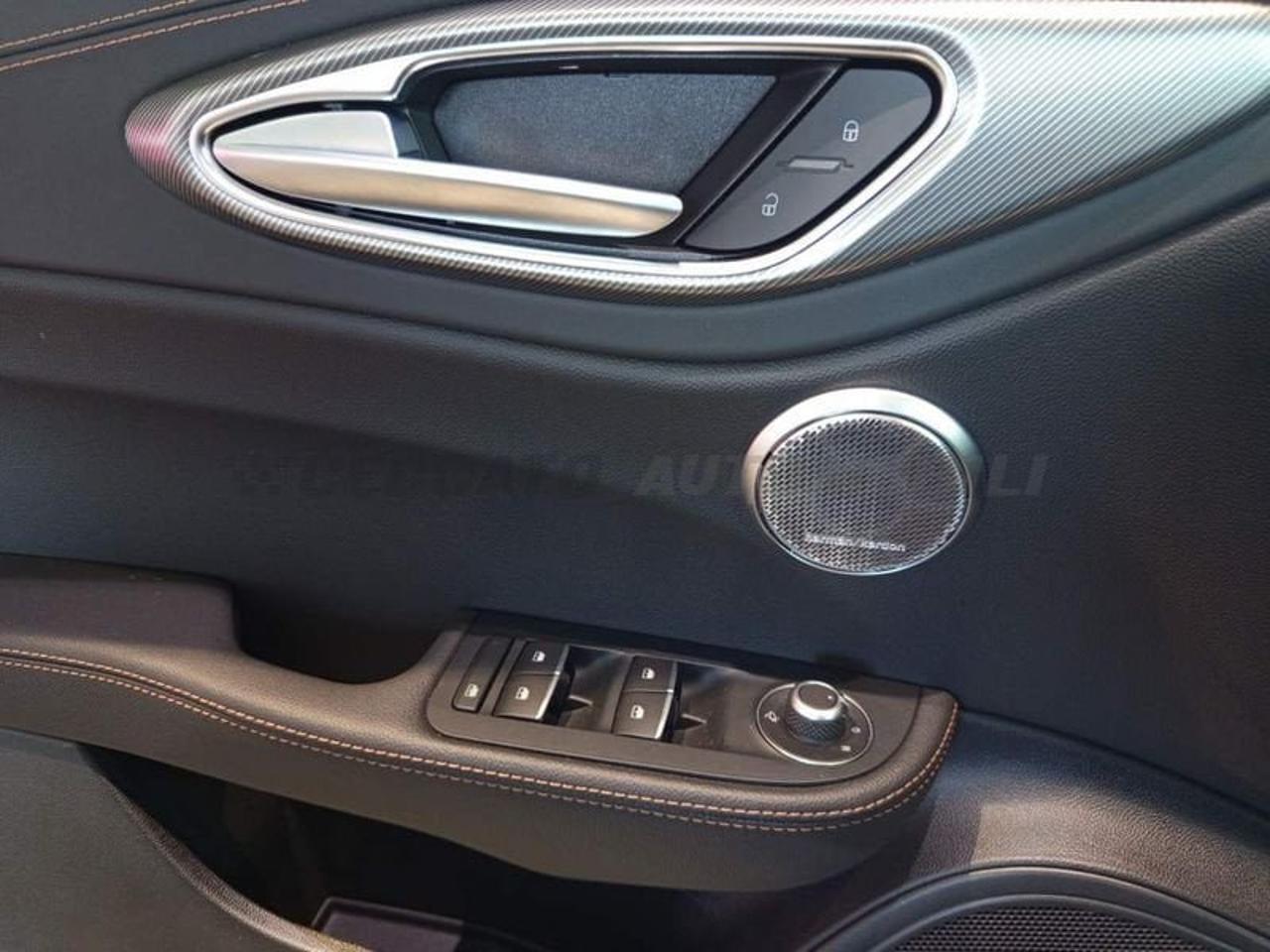 Alfa Romeo Alfa Romeo Giulia usata 6