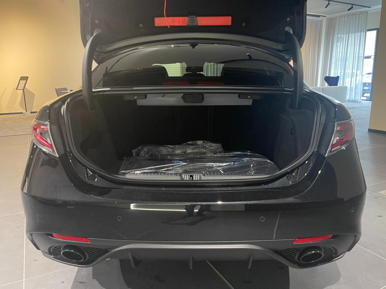 Alfa Romeo Alfa Romeo Giulia usata 16