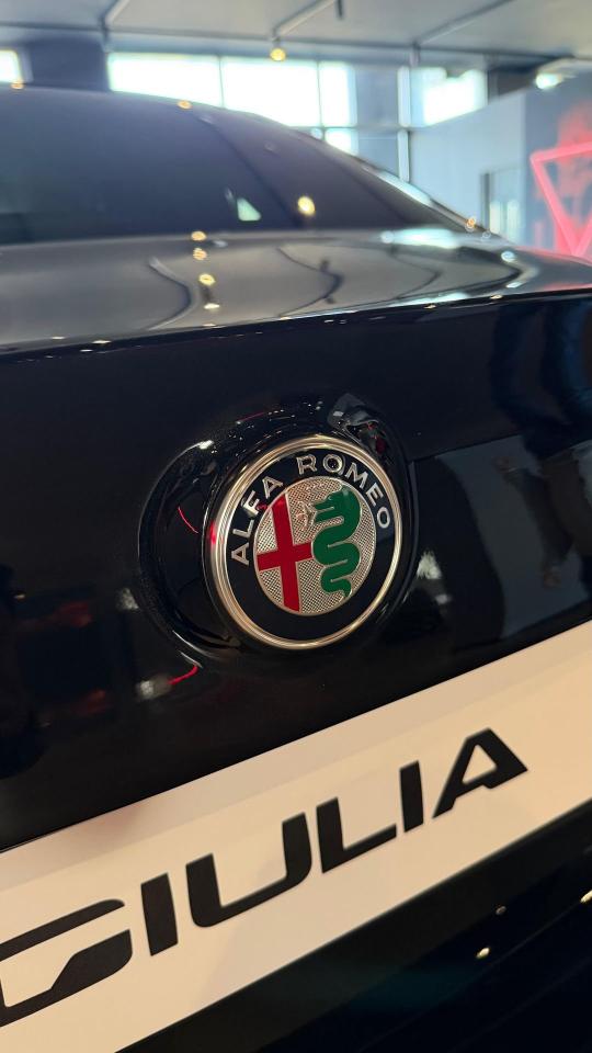 Alfa Romeo Alfa Romeo Giulia usata 11