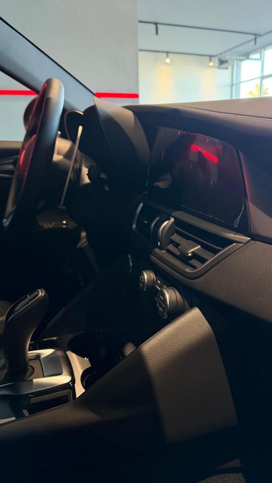 Alfa Romeo Alfa Romeo Giulia usata 17