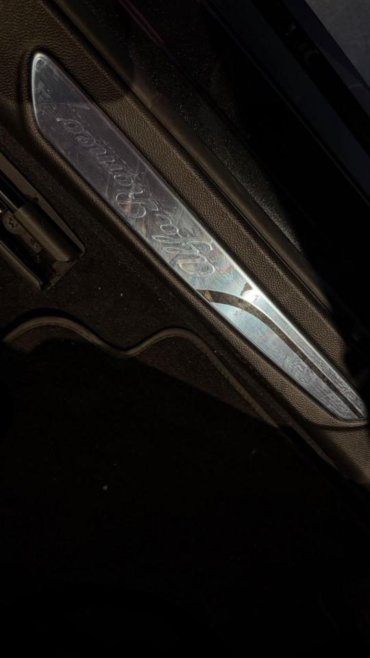 Alfa Romeo Alfa Romeo Giulia usata 19