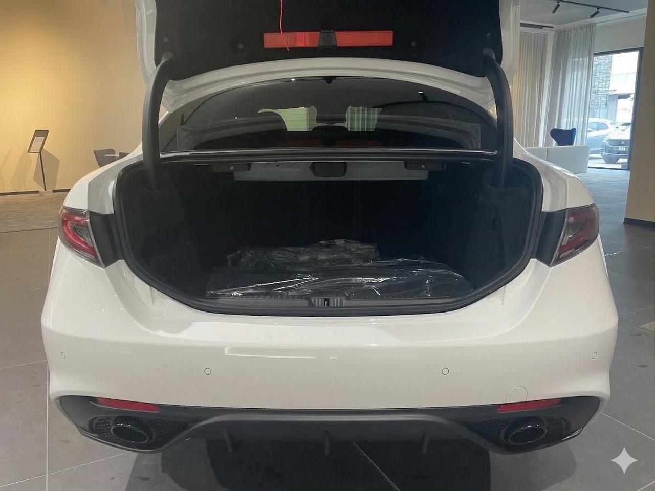 Alfa Romeo Alfa Romeo Giulia usata 16