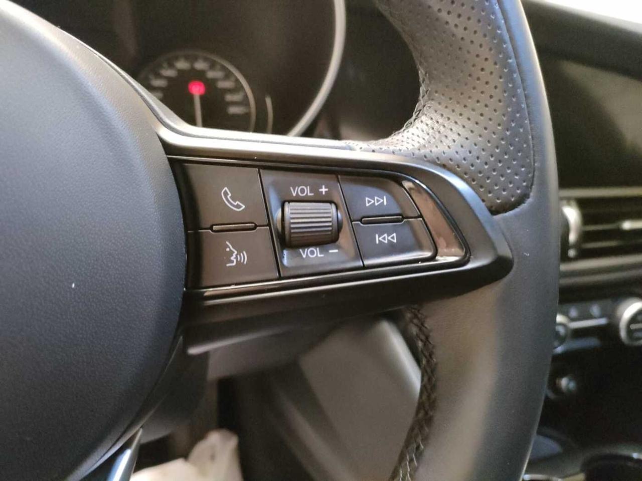 Alfa Romeo Alfa Romeo Giulia usata 19