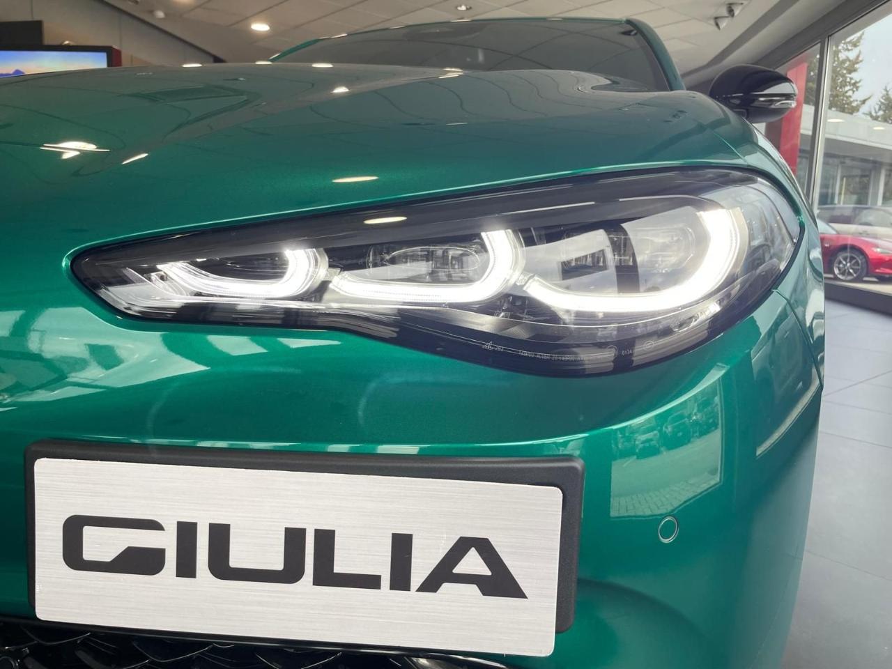 Alfa Romeo Alfa Romeo Giulia usata 16