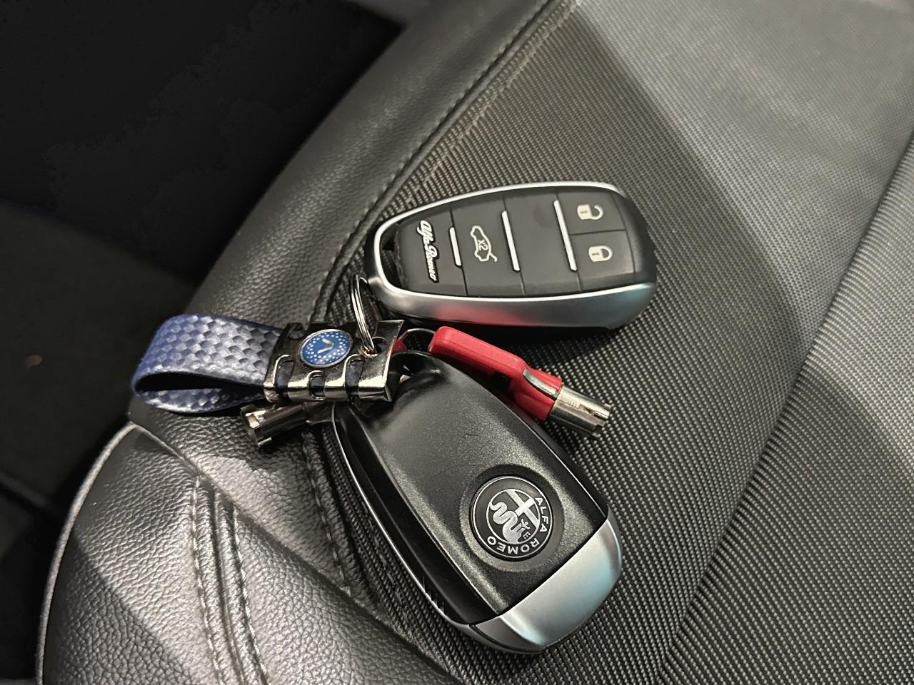 Alfa Romeo Alfa Romeo Giulia usata 12