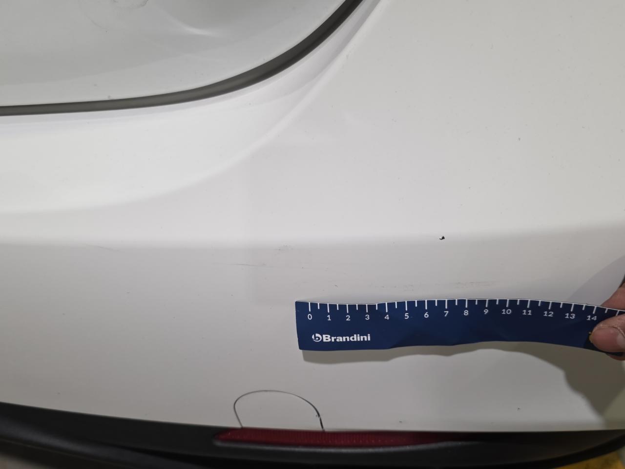 Alfa Romeo Alfa Romeo Giulia usata 19