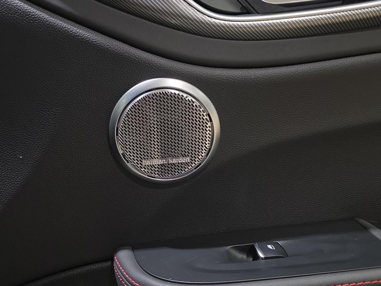 Alfa Romeo Alfa Romeo Giulia usata 23