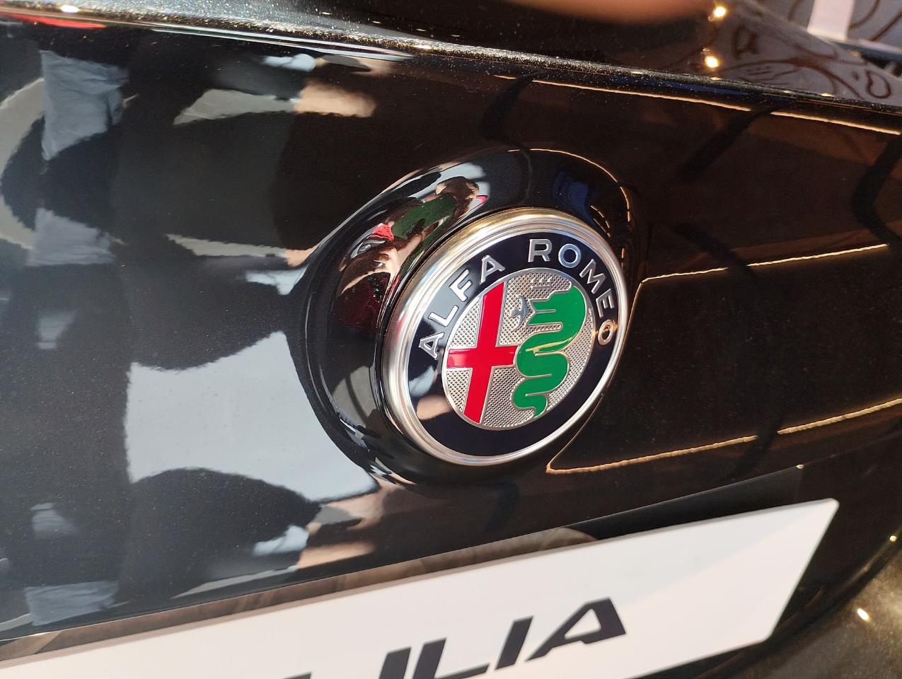 Alfa Romeo Alfa Romeo Giulia usata 16