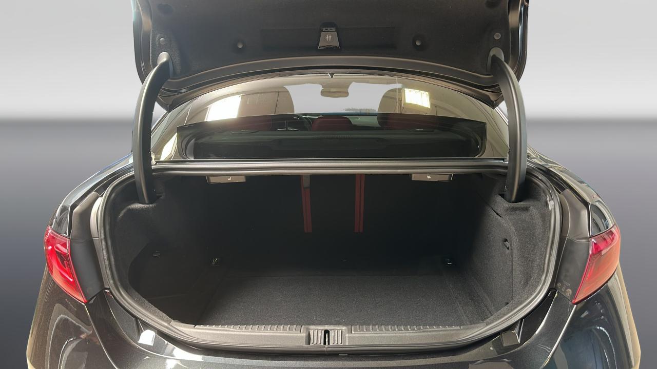Alfa Romeo Alfa Romeo Giulia usata, con GPS